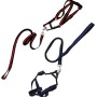 Dog leash 250cm [10501574]